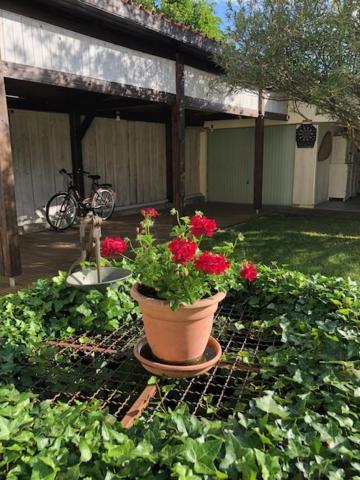 Escale Au Fond Du Jardin Privatunterkunft Agen